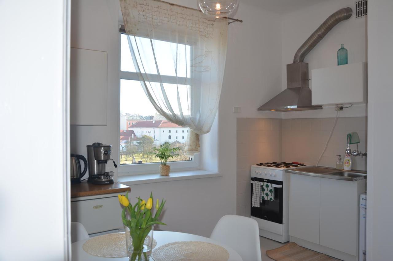 Wanner Studio/Old Town/Center Kraków Exteriör bild